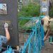 В Херсонской области правоохранители и школьники привели в порядок мемориал участникам Великой Отечественной войны В Херсонской области правоохранители и школьники привели в порядок мемориал участникам Великой Отечественной войны