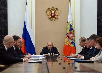 Донецк встречает пушистых гостей: город открыл уникальный парк альпак