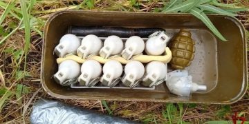 За неделю на Херсонщине и Запорожье росгвардейцы изъяли более 6500 патронов и гранаты