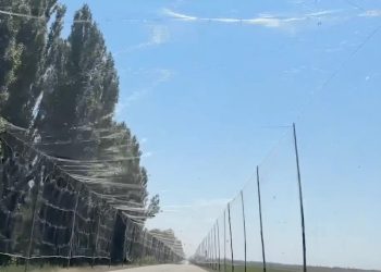 «Чуть не до слёз»: За кулисами Луганска Виктория Дайнеко раскрыла секрет любви Донбасса