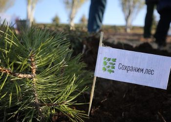 Заново открывая Херсонщину: На что пойдут 305 миллионов рублей на развитие туризма