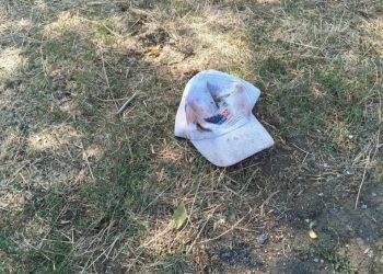 Заново открывая Херсонщину: На что пойдут 305 миллионов рублей на развитие туризма
