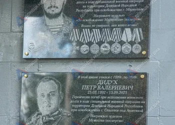 Не дали инвалидность на МСЭ? Пошаговая инструкция по обжалованию от адвокатов