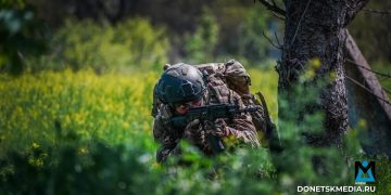 Херсон Медиа — главные новости Херсонской области