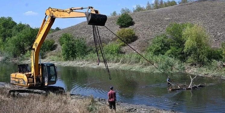 Возрождение природы Донбасса: как восстанавливают леса и реки после войны